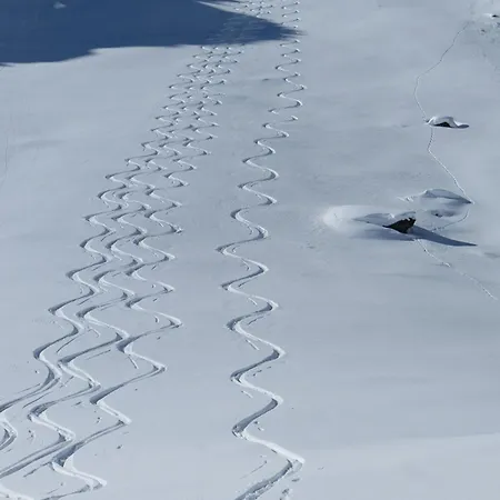 Apartment Dual, 2 Mit Sauna, Naehe Pressegger See, Skibus Zum Nassfeld *