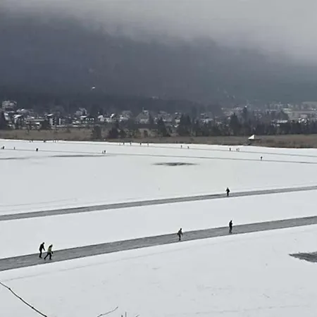 Dualhaus, 2 Mit Sauna, Naehe Pressegger See, Skibus Zum Nassfeld