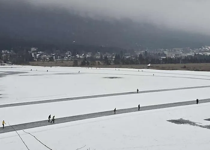 Dual, 2 Mit Sauna, Naehe Pressegger See, Skibus Zum Nassfeld